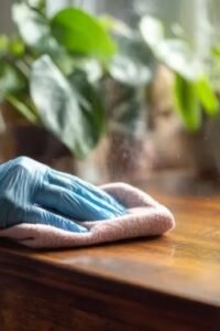 Neat Home Cleaning Company - Knoxville